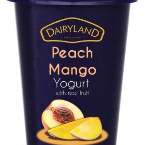 Dairyland Peach Mango yogurt