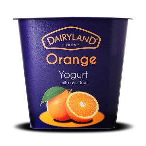 Dairyland Orange yogurt with real fruit