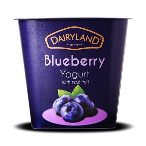 Dairyland Blueberry yogurt with real fruit Dairyland Blueberry yogurt with real fruit