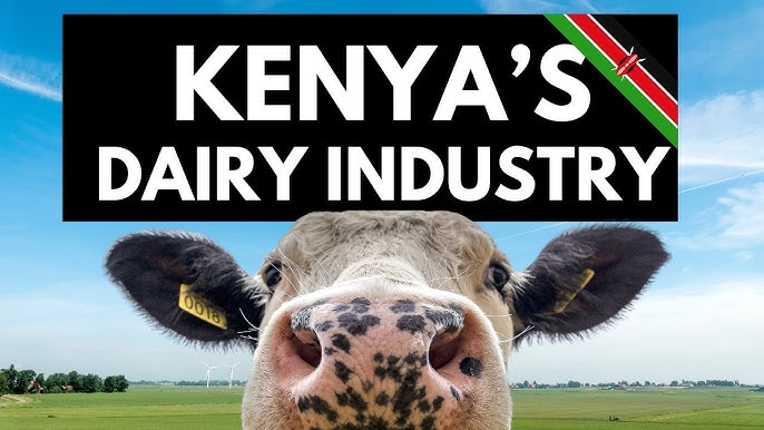 Kenya's Dairy Industry