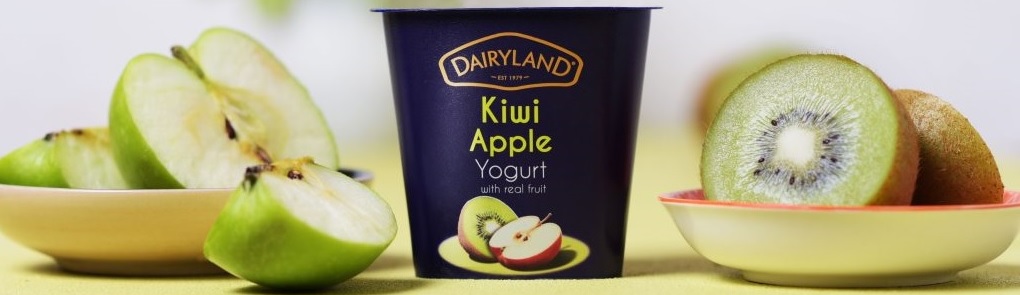 Yogurt Dairyland