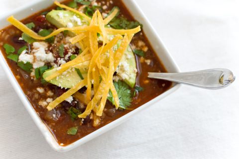 Vegetarian Tortilla Stew