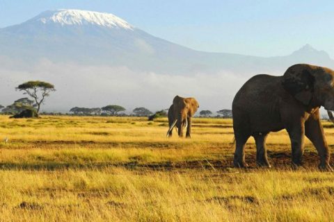 Exploring Kenya