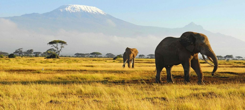 Exploring Kenya