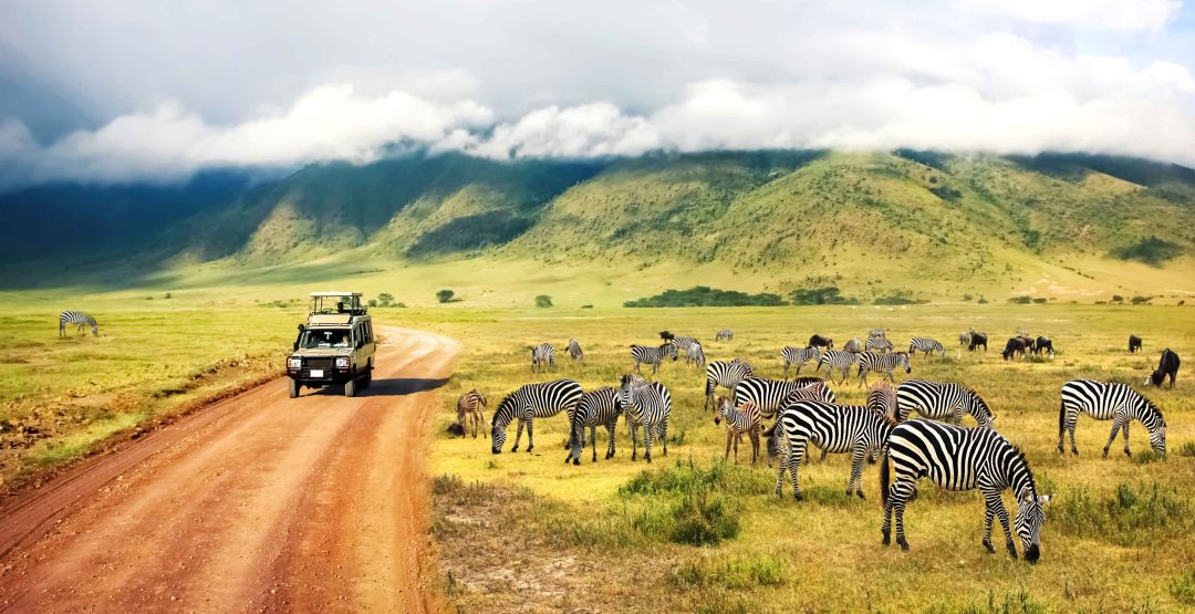 The best safari destinations