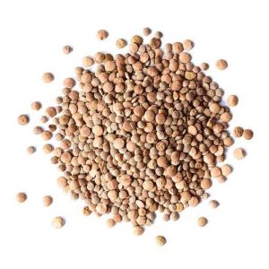 Green Lentils Kenya Kamande