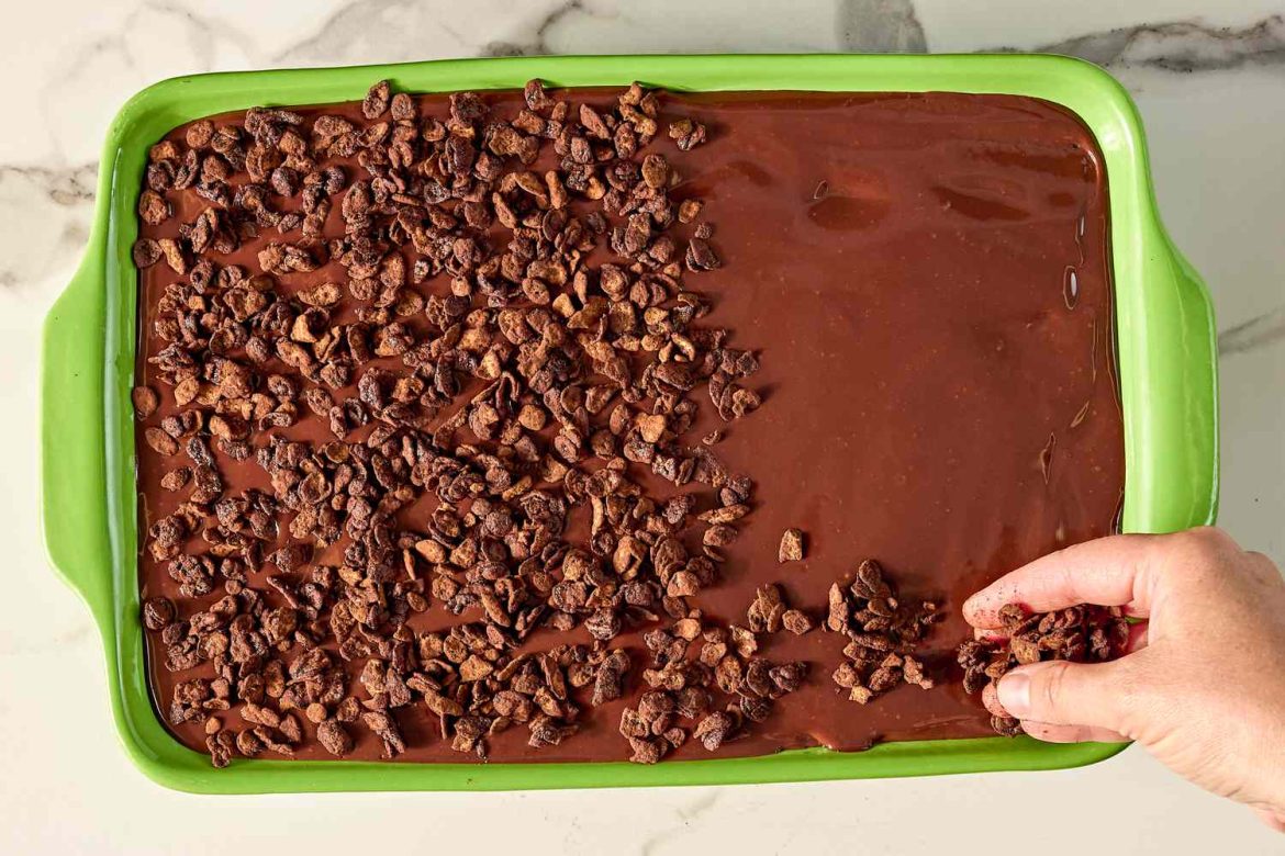 Lazy Cat Cake Recipe