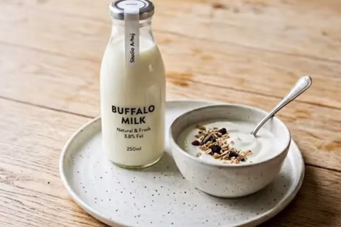 Kenya Buffalo Cheese