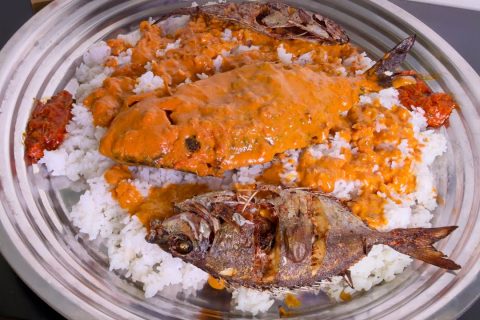 Mtuzi wa Samaki Wa Maji